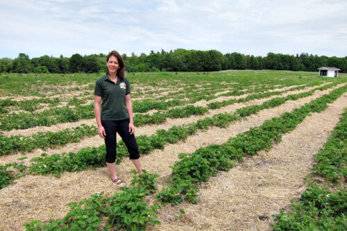 Shannon in berry patch 1024x683 1 500x333