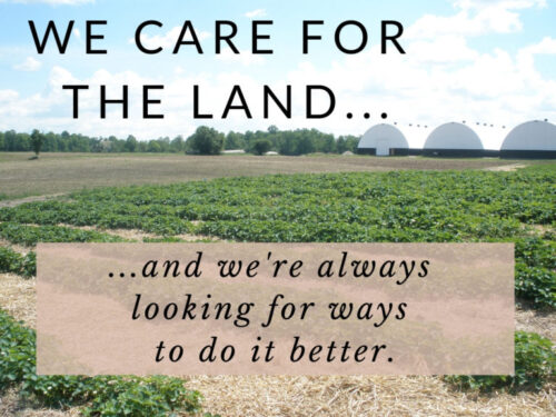 We care for the land Miller 768x576 1 500x375